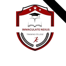 Immaculate_Nexus-removebg-preview